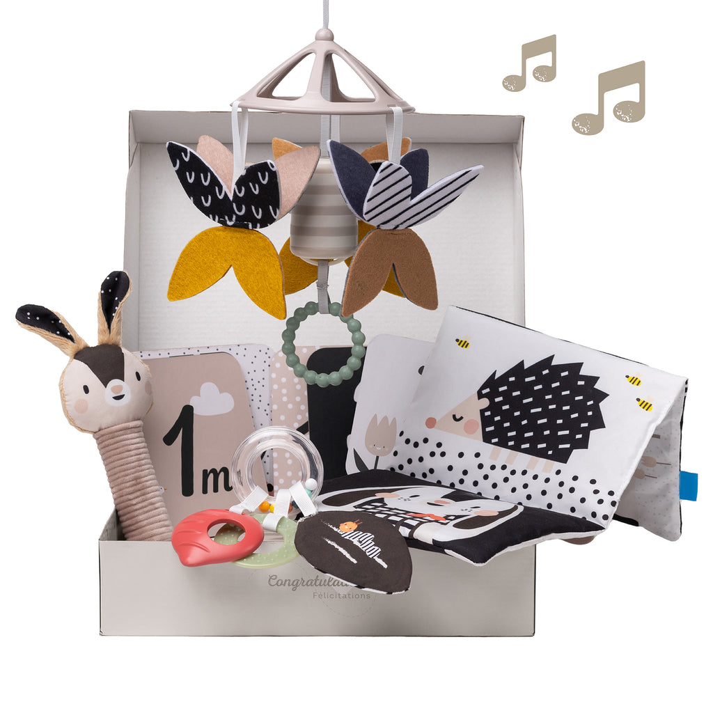 Kit sensoriale per Neonato Bianco e Nero | Taf Toys