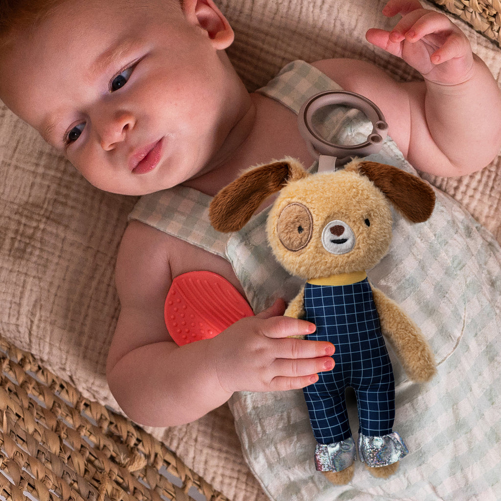 Daniel il cagnolino | Taf Toys