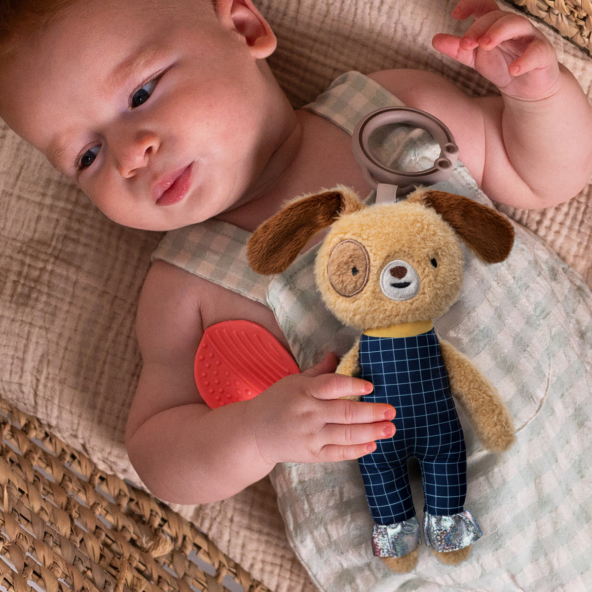 Daniel il cagnolino | Taf Toys