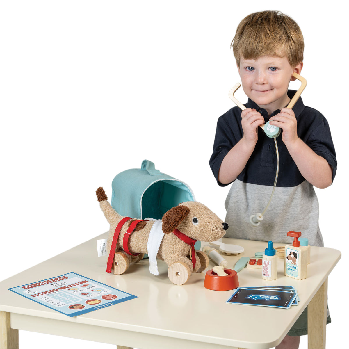 Valigetta del veterinario Animal Rescue | Tender Leaf Toys
