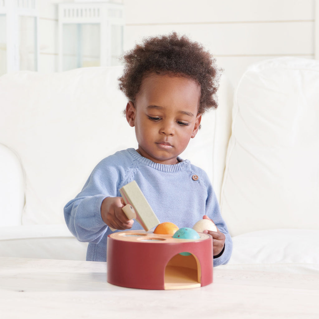 Woodpecker Game | Tender Leaf Toys