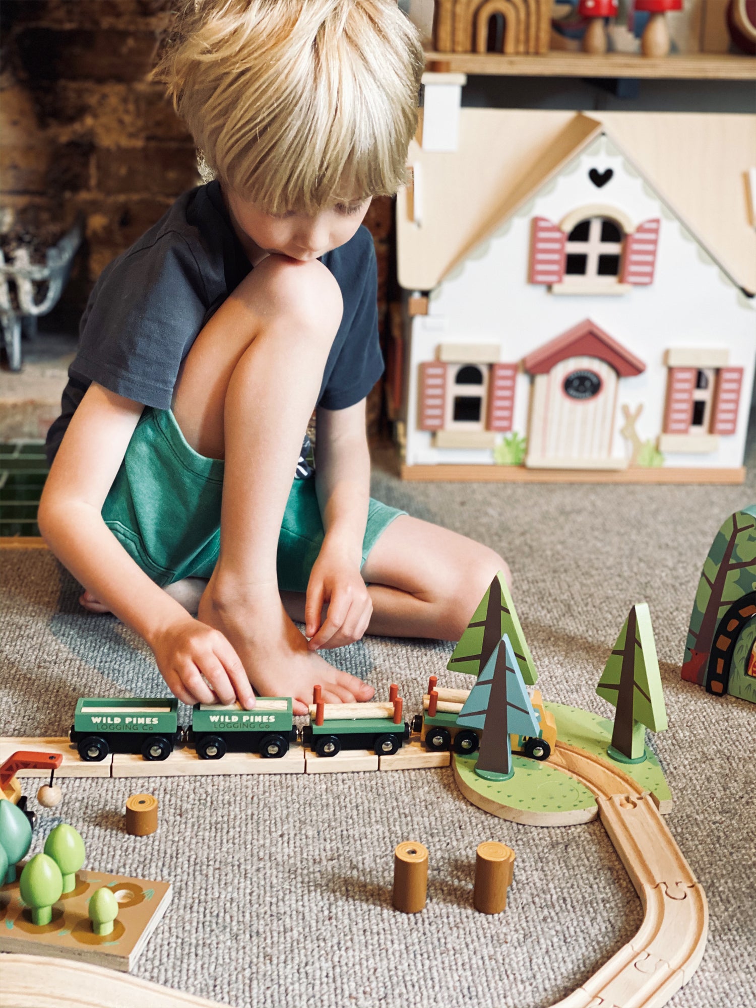 Trenino in Legno Wild Pines | Tender Leaf Toys