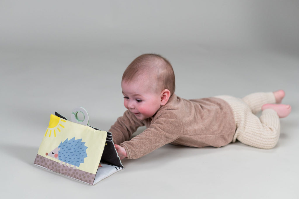 Tummy Time Essentials kit | Taf Toys