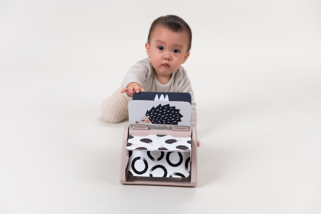 Black & White Spinning Book  | Taf Toys