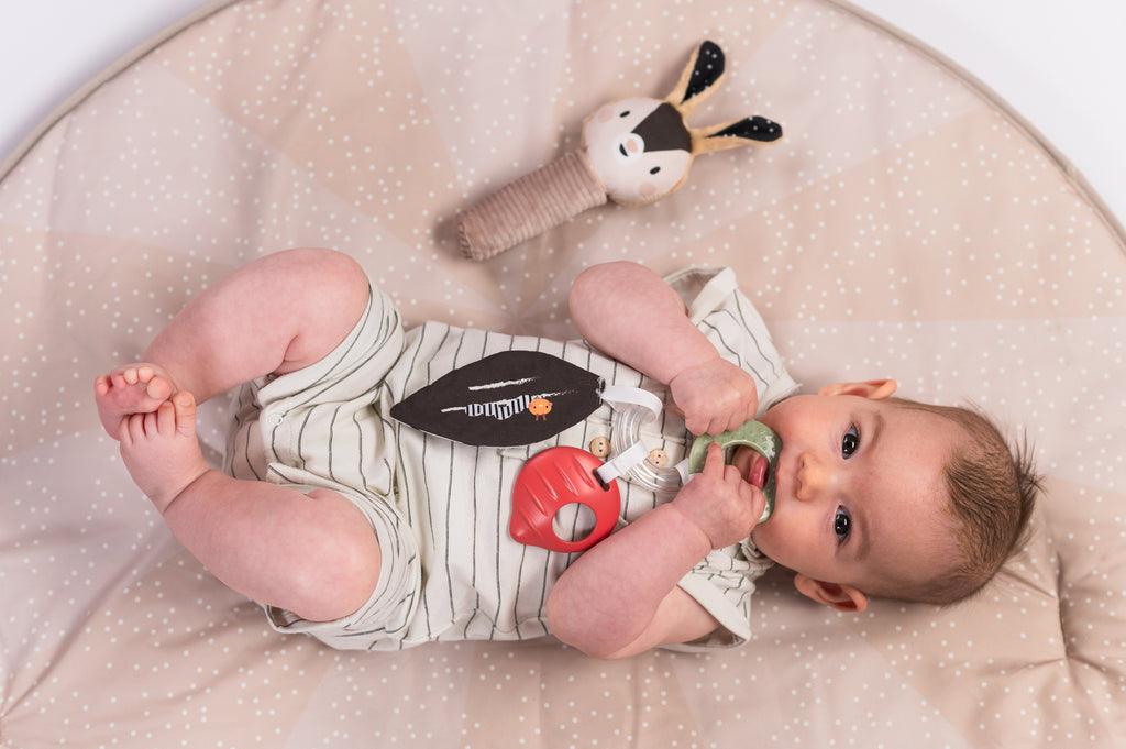 Kit sensoriale per Neonato Bianco e Nero | Taf Toys