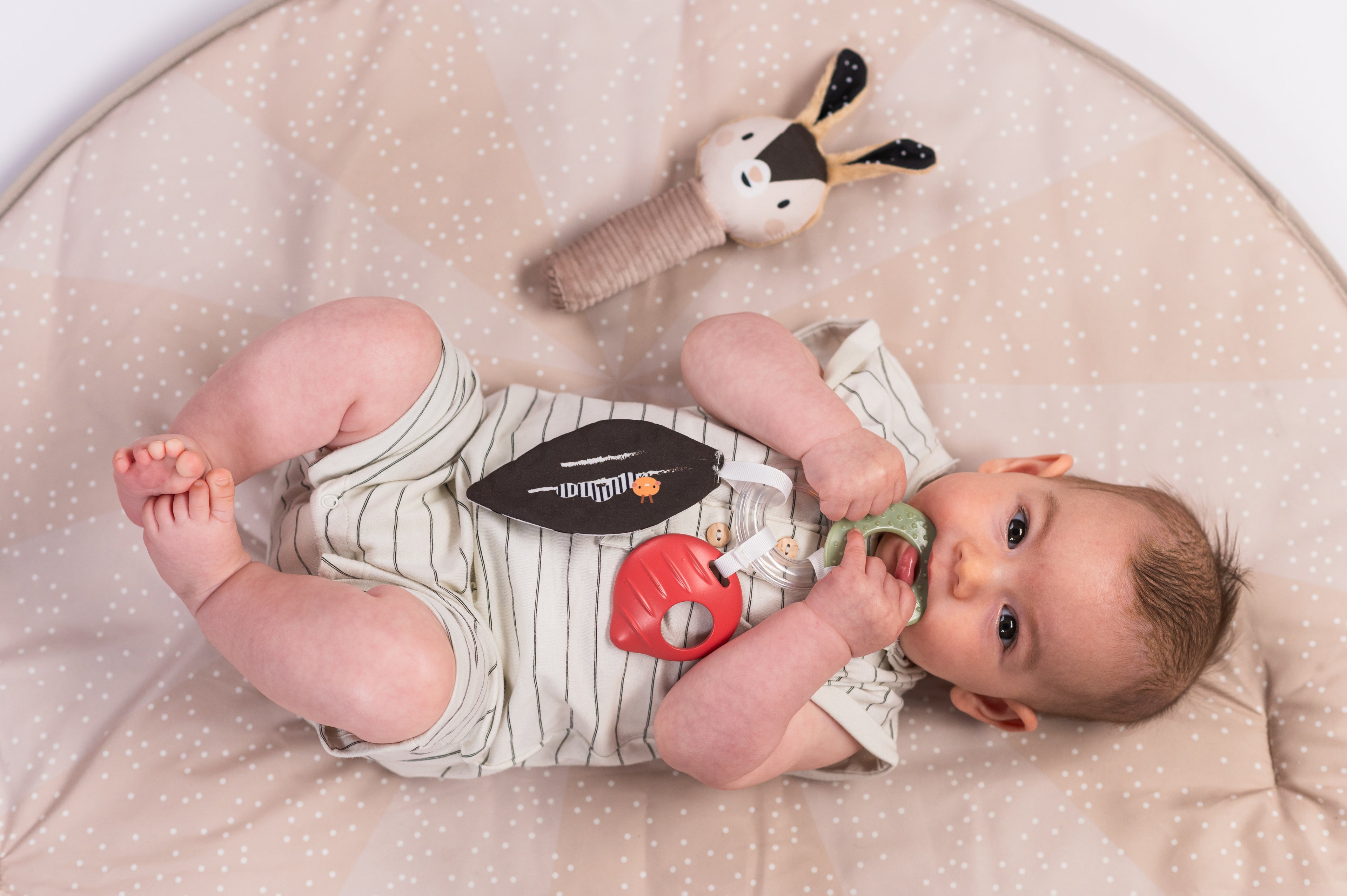 Kit sensoriale per Neonato Bianco e Nero | Taf Toys