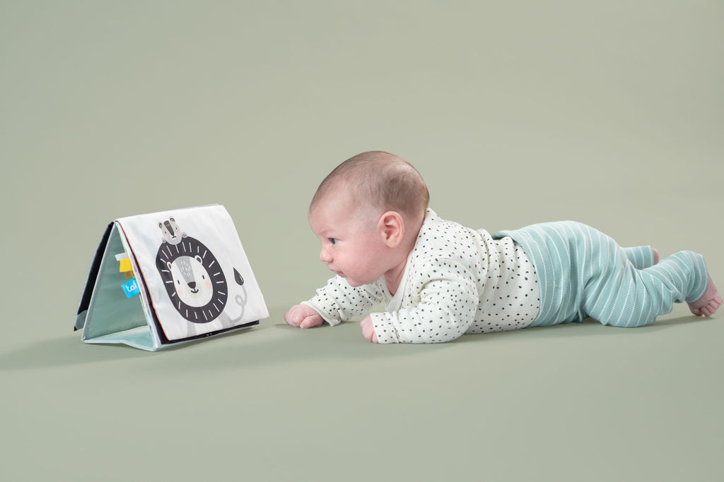 Savana Libro di stoffa | Taf Toys
